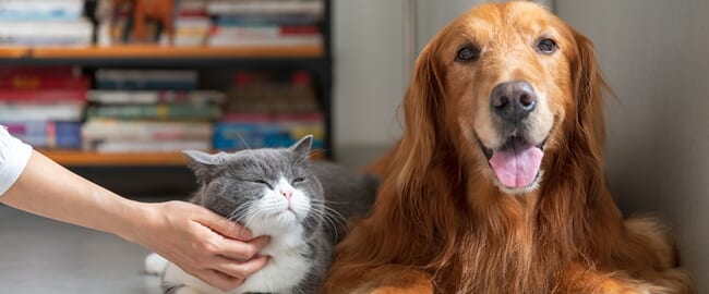 ライフスタイルに合わせた、最適な商品の選択