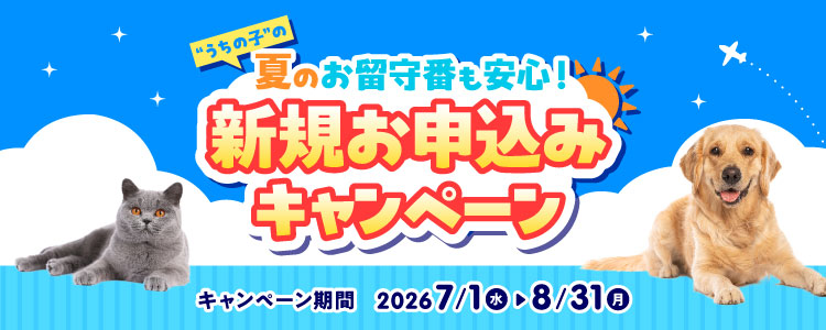 新規お申込みキャンペーン 期間限定!8月31日まで