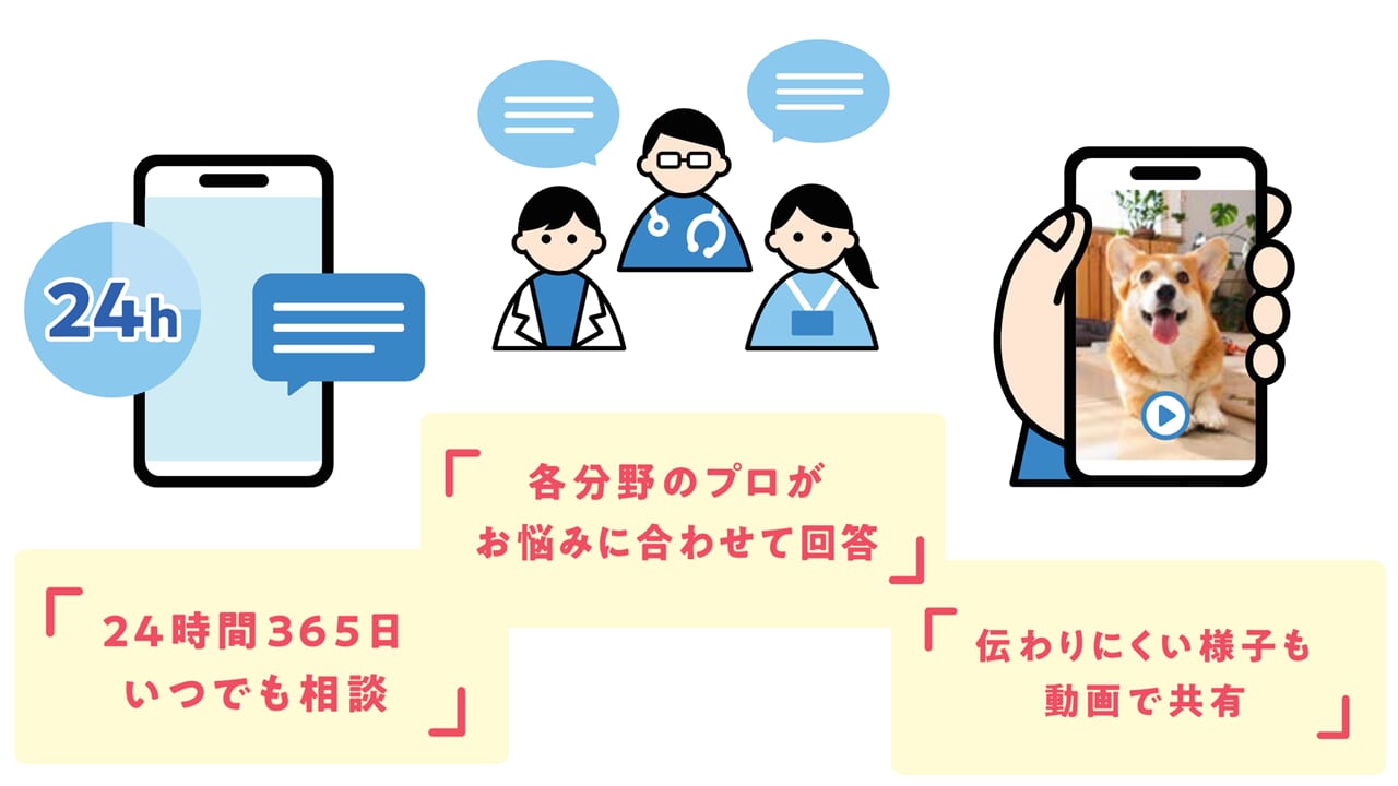 2026年10月ペットに関する相談サービスの導入および商品改定について