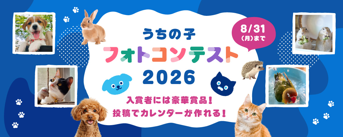 フォトコンテスト2026