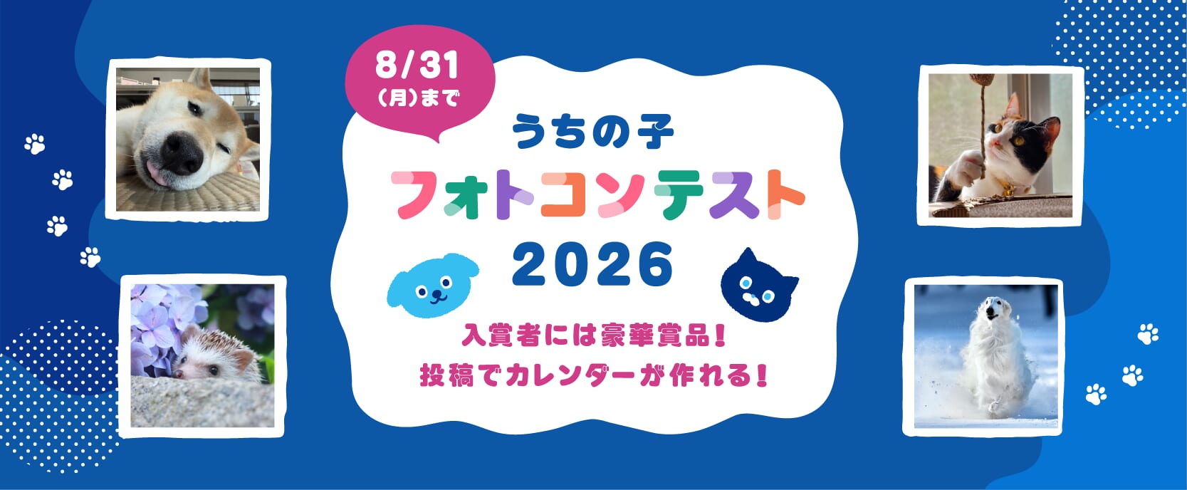 第一アイペット「うちの子フォトコンテスト2026」投稿キャンペーン開始