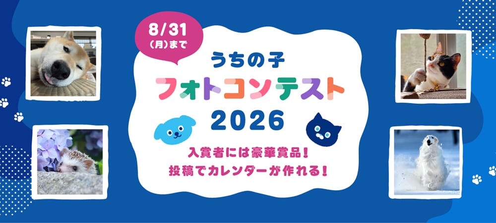 うちの子フォトコンテスト2026