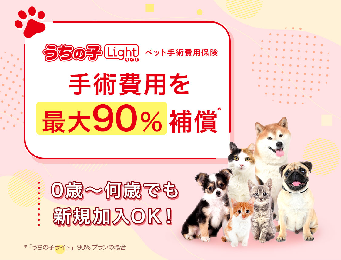 手術費用を最大90%補償!手術費用に特化したペット保険 うちの子ライト