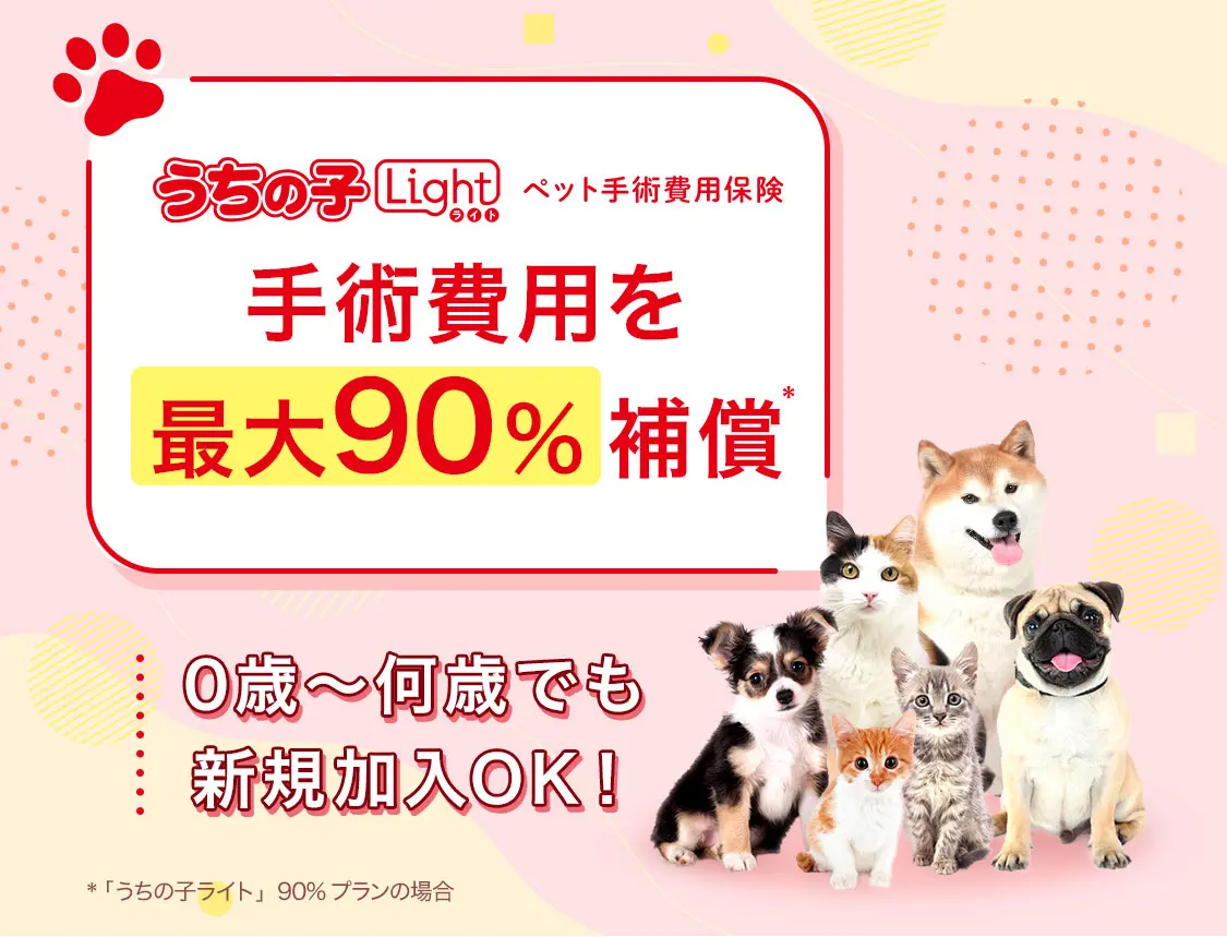 犬・猫のペット保険なら【第一アイペット】公式サイト
