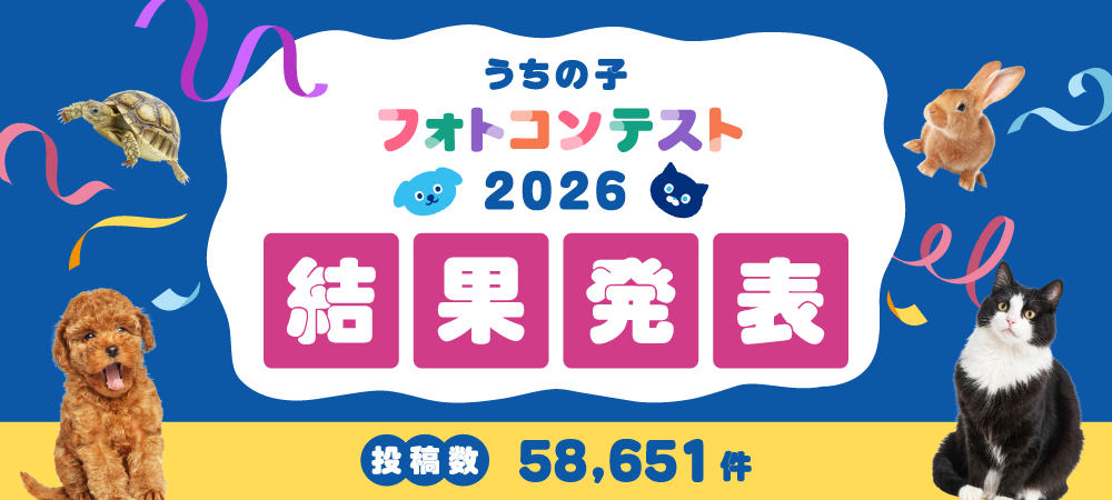 うちの子フォトコンテスト2026