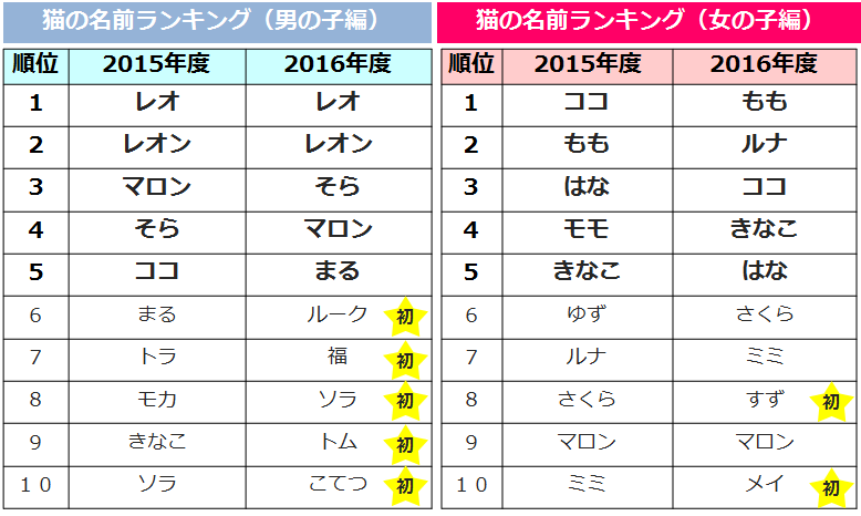 うちの子 につける名前ランキング ペット保険ならアイペット損保 数々のno 1受賞