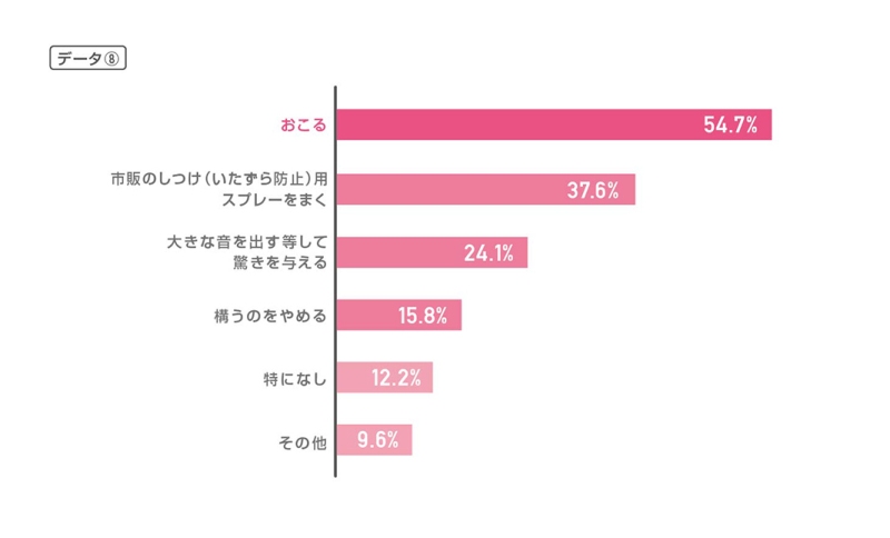 猫グラフ_小田修正