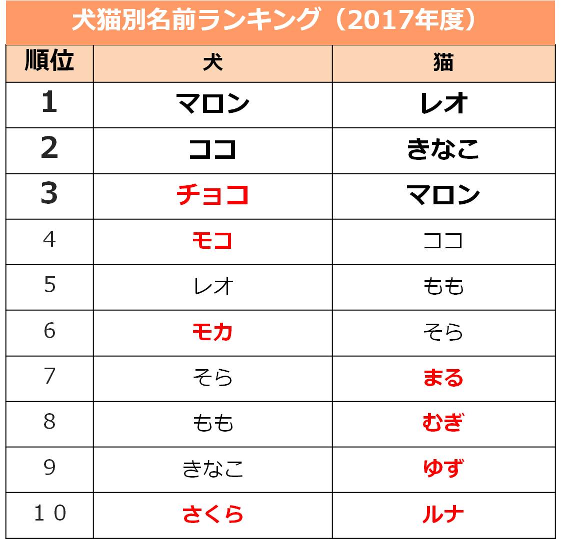 調査結果 犬の名前ランキング 17 1位は レオ 男 ココ 女 マロン 総合 ワンペディア