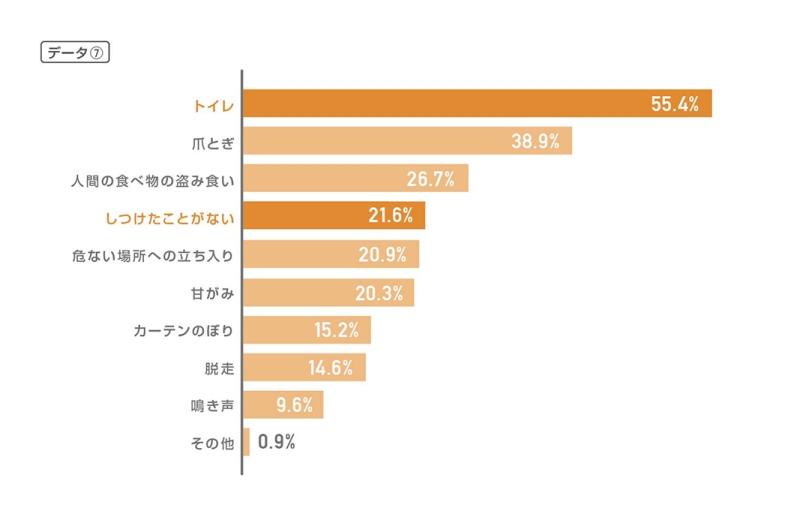 猫グラフ_小田修正