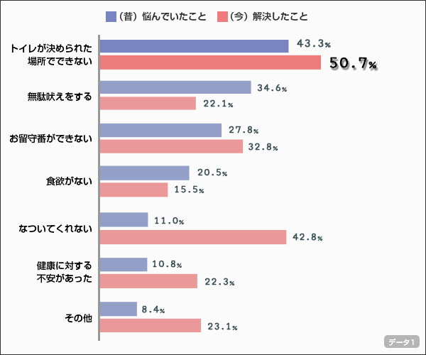 chart01