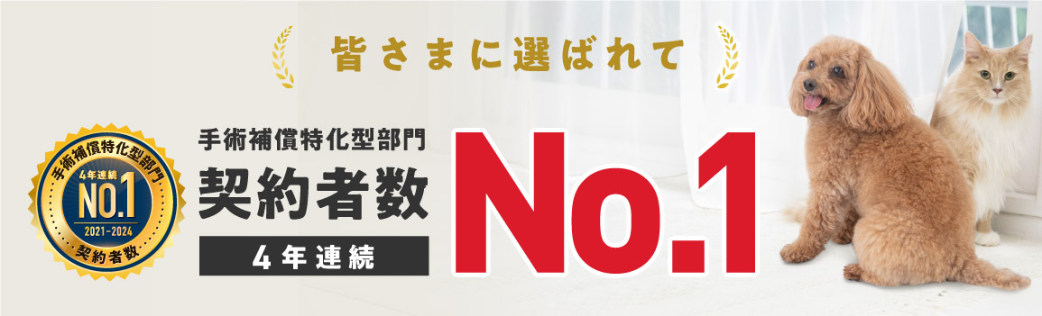 皆さまに選ばれて、手術補償特化型部門契約者数4年連続NO.1