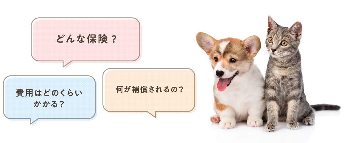 ペット保険とは?