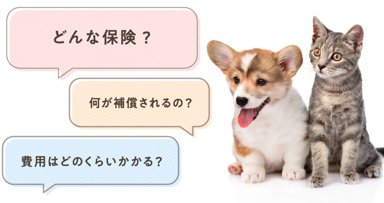 ペット保険とは?