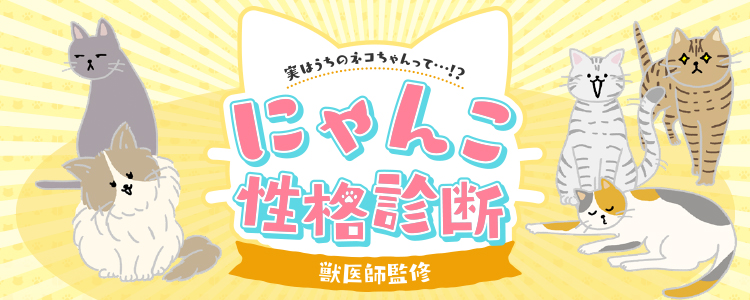 にゃんこ性格診断