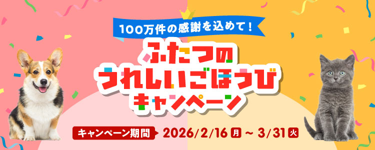 100万件の感謝を込めて!新規お申込みキャンペーン 期間限定!3月31日まで