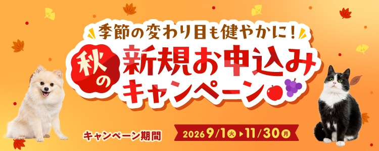 期間限定!新規お申込みキャンペーン